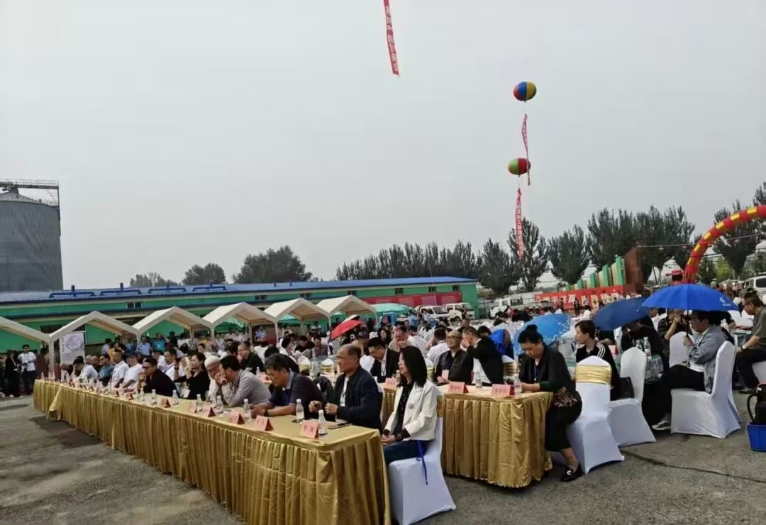 微信图片_20251001070917_258