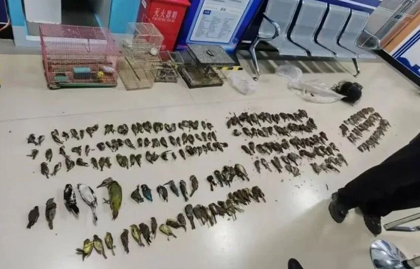 微信图片_2025-11-14_091532_929